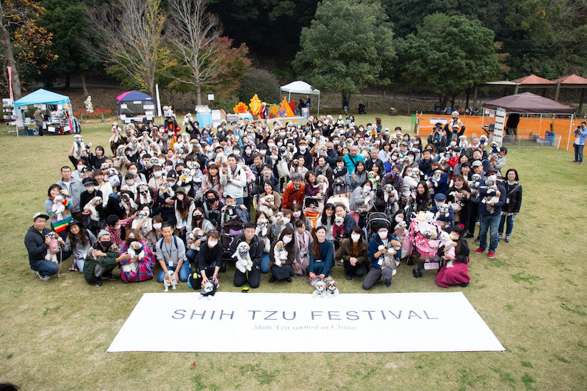 2020 Shi Tzu Meetup Festival