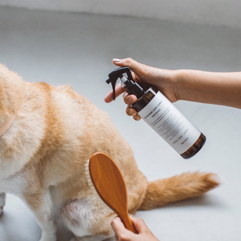 All Round Care Spray for Dogs