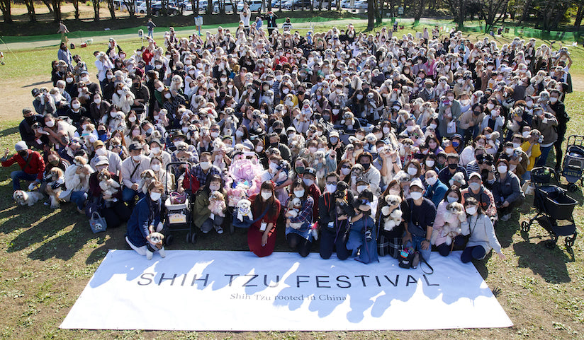 Report on the free stitch 'Shih Tzu Festival Rooted in China' 2021 Meetup Event at Akigase Park Saitama