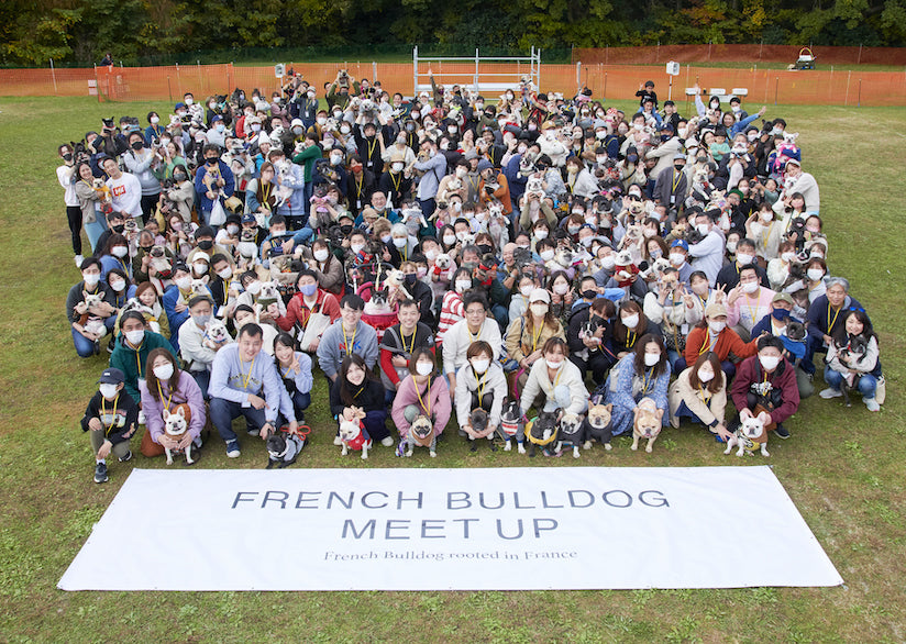 Report on the free stitch 'French Bulldog Festival Rooted in France' 2021 Meetup Event at Akigase Park Saitama