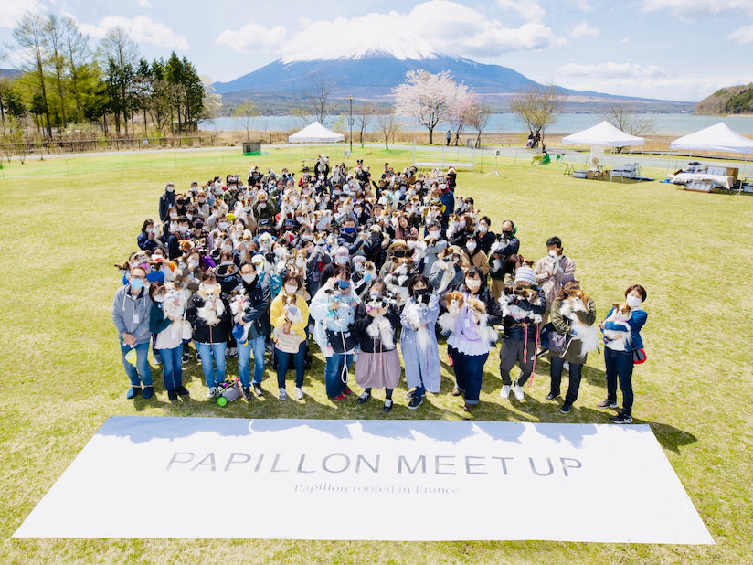 Report on the free stitch 'Papillon Festival Rooted in France' 2021 Meetup Event  at Yamanakako Communication Plaza