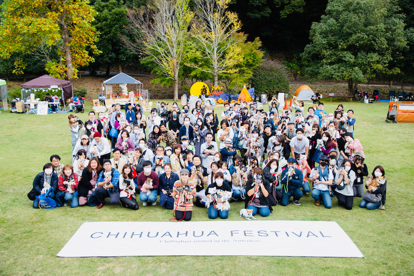 Report on the free stitch 'Chihuahua Festival Rooted in the Americas' 2020 Meetup Event  at Lakewoods Garden