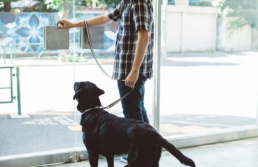 Dog Friendly Office Project Point 1: Creation of the Dog-friendly Office Guidelines