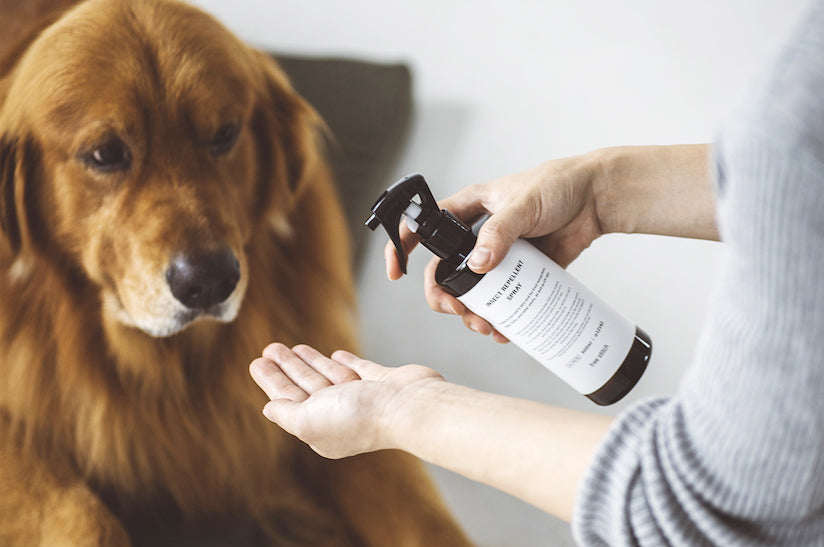 The Insect Repellent Spray for Pets