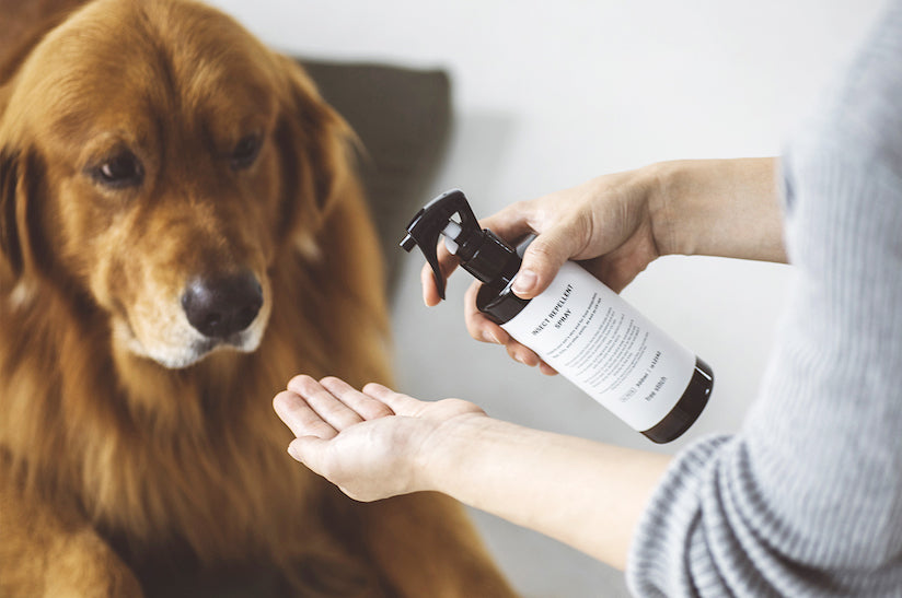 The Insect Repellent Spray for Pets – free stitch