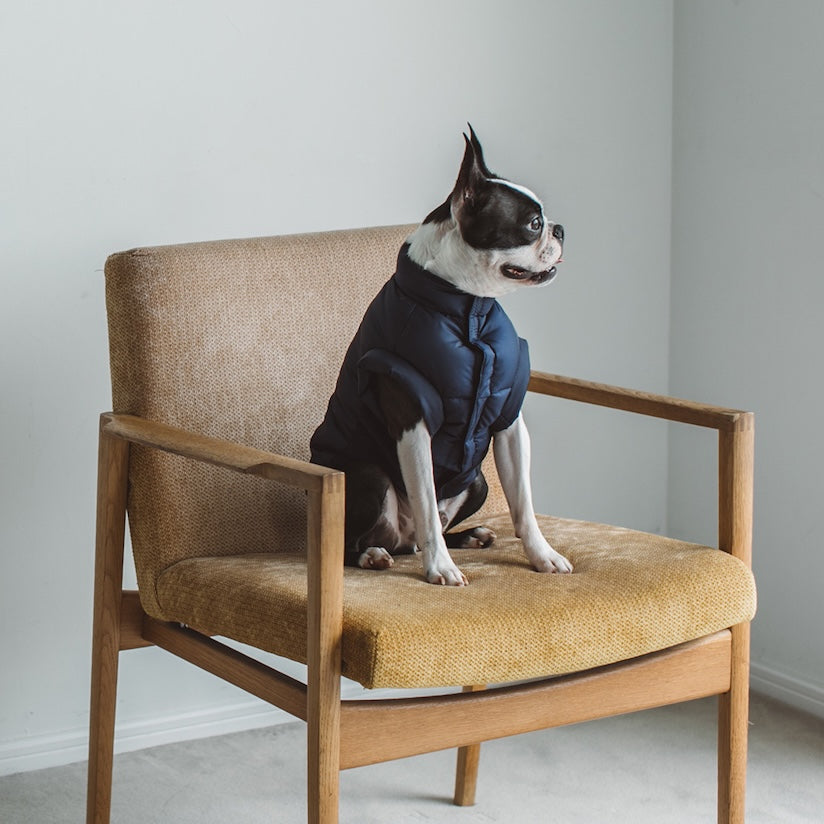 The 2025 Duck Down Dog Jacket