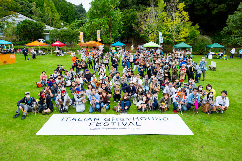 2020 Italian Greyhound Meetup Festival