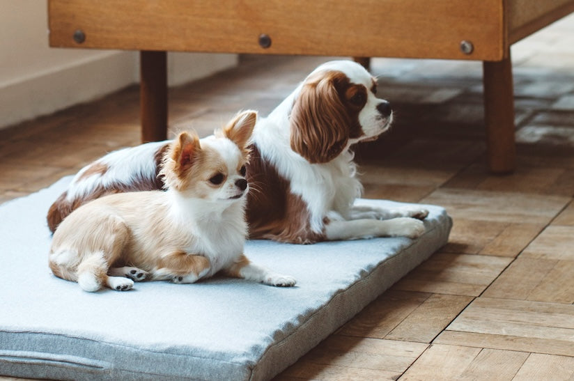 Notification of Temporary Office Closure Dates in October to December 2025