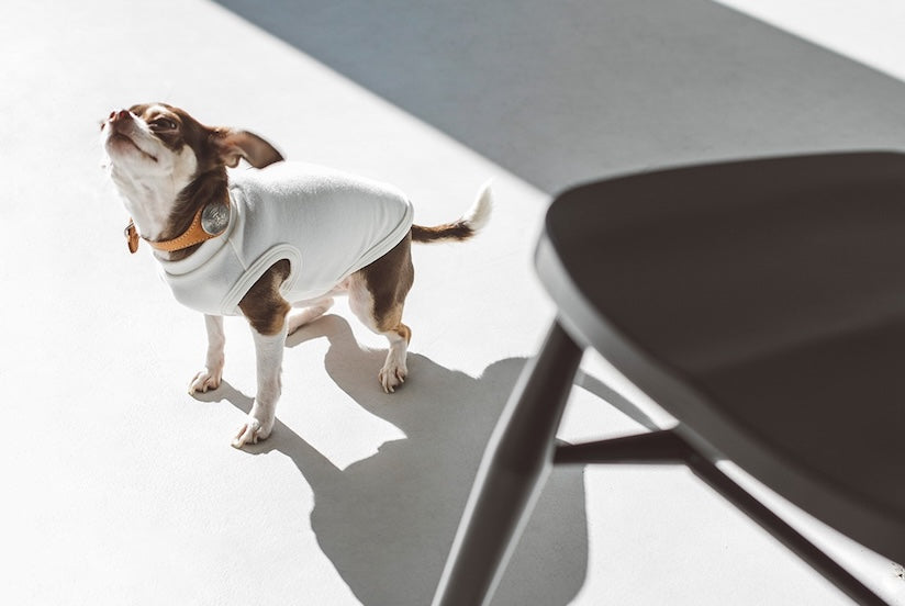 About Delivery Delays