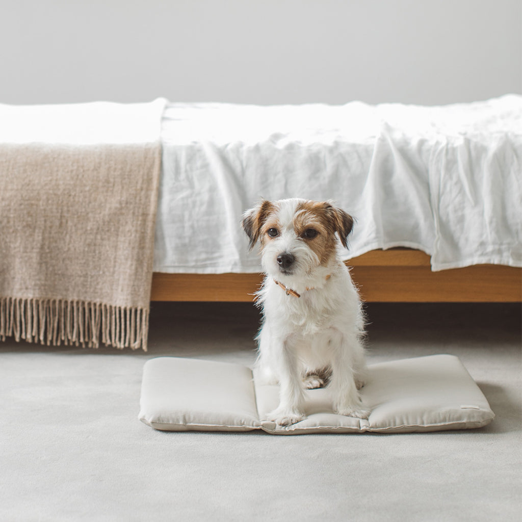 Portable Cushioned Soft Mat