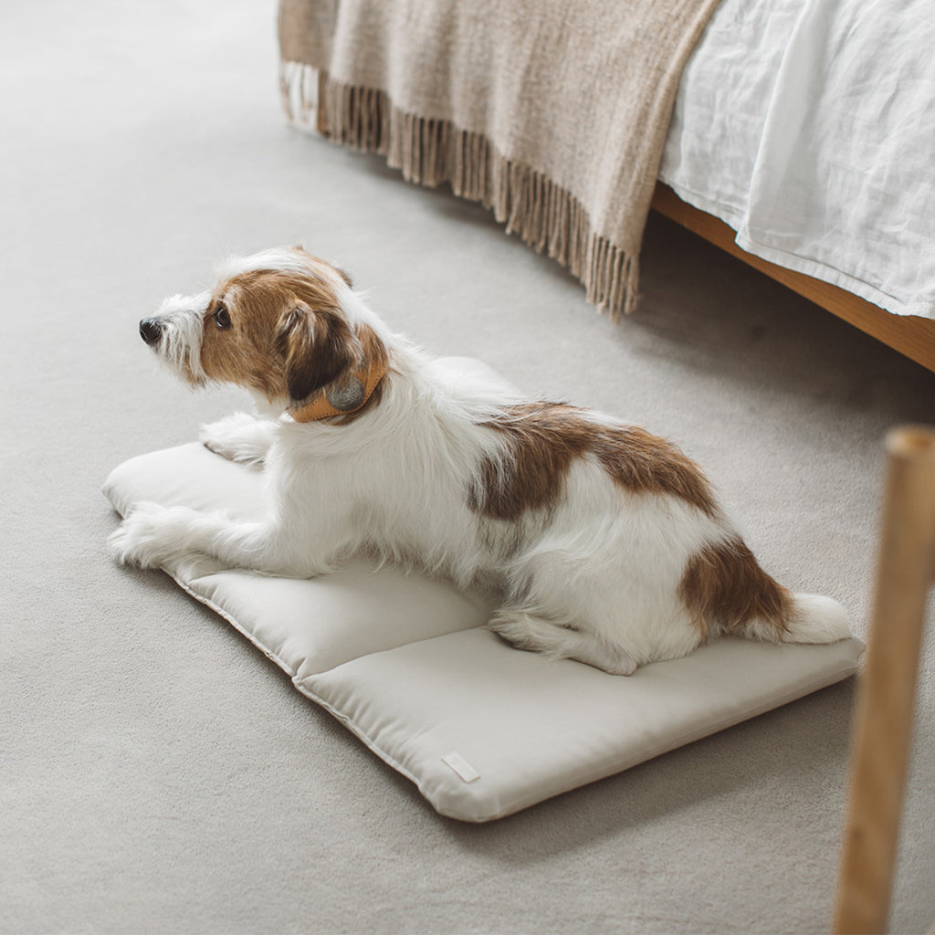 Portable Cushioned Soft Mat