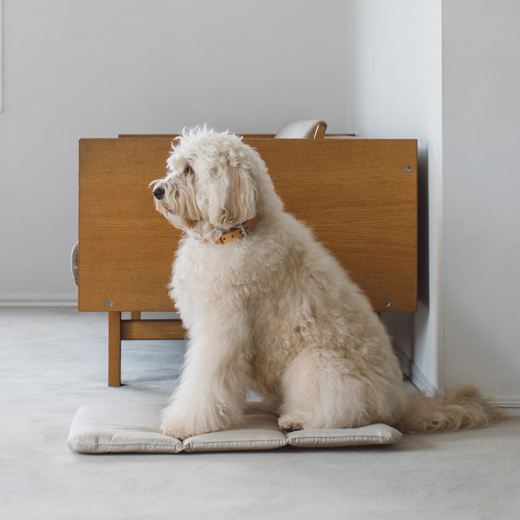 Portable Cushioned Soft Mat