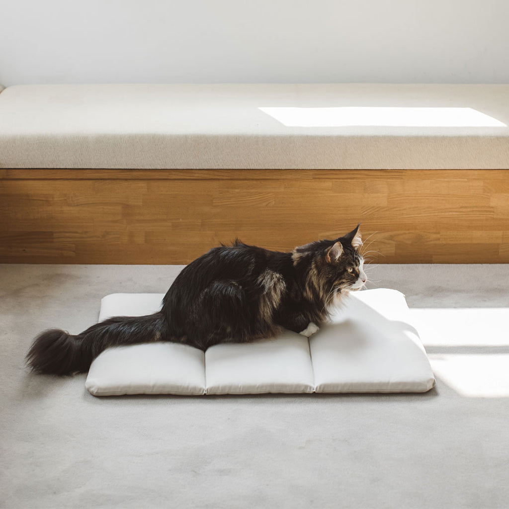 Portable Cushioned Soft Mat