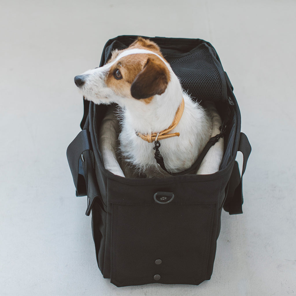 Balcordy Boston Carry Bag