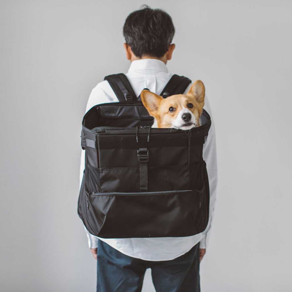 Comfortable Rucksack