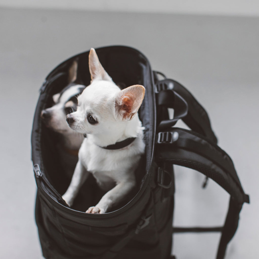 Comfortable Rucksack