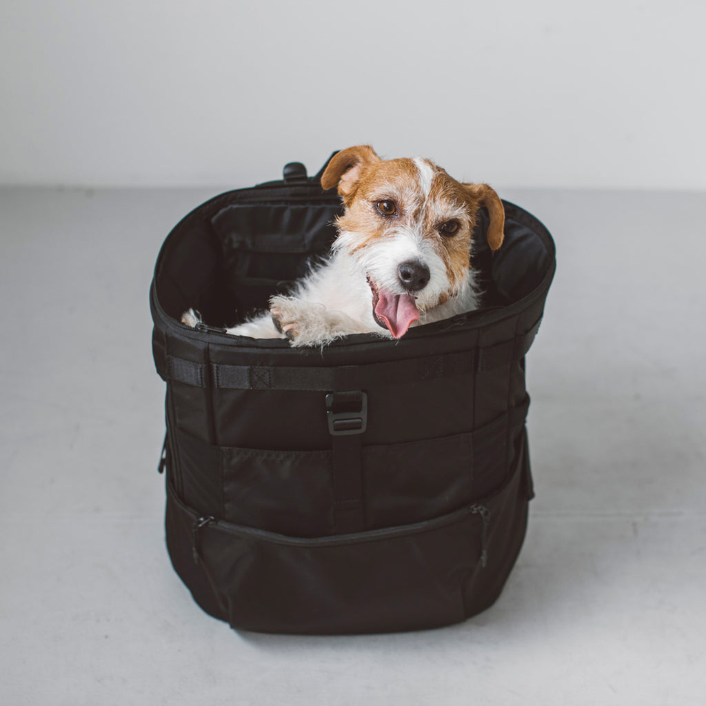 Comfortable Rucksack