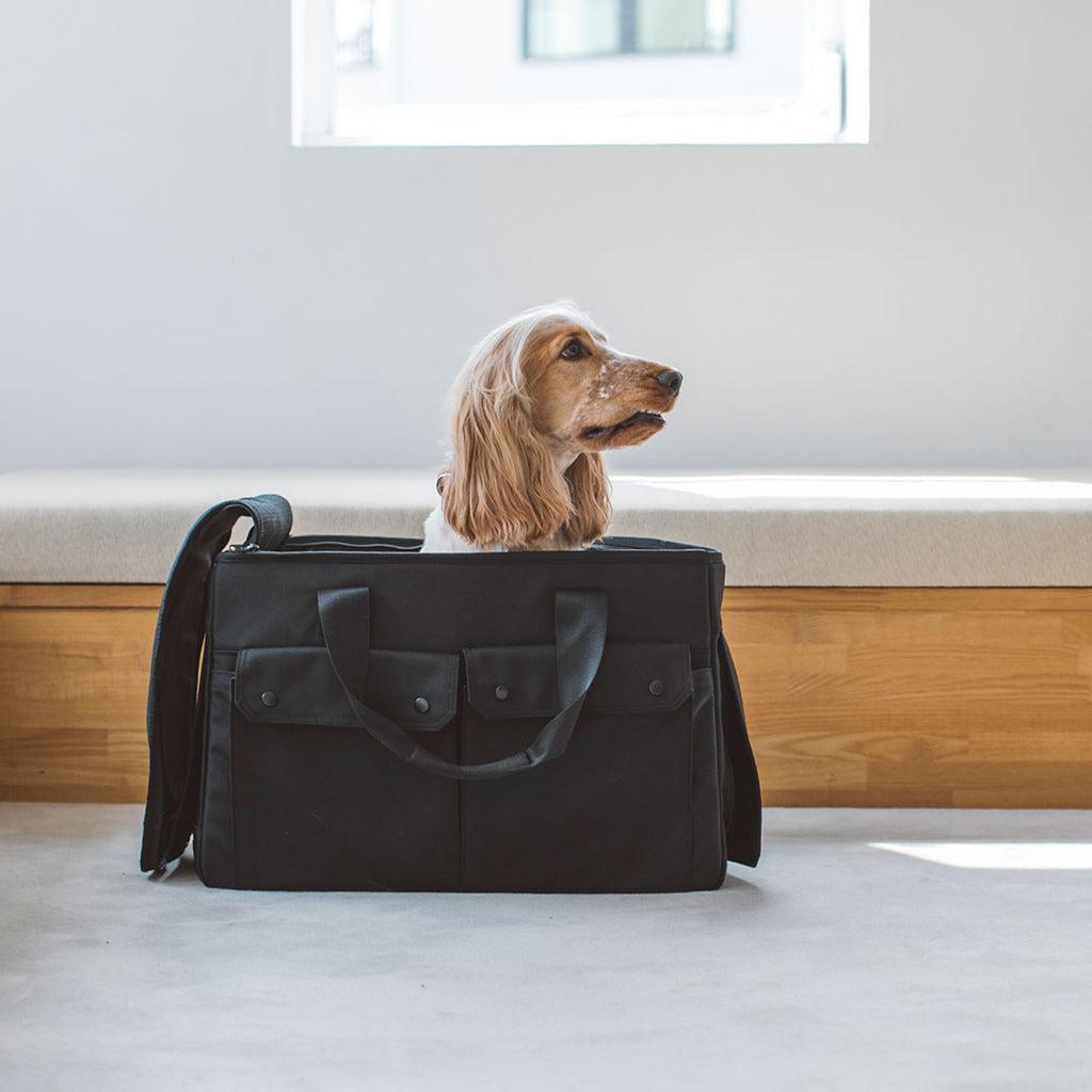 Balcordy Boston Carry Bag