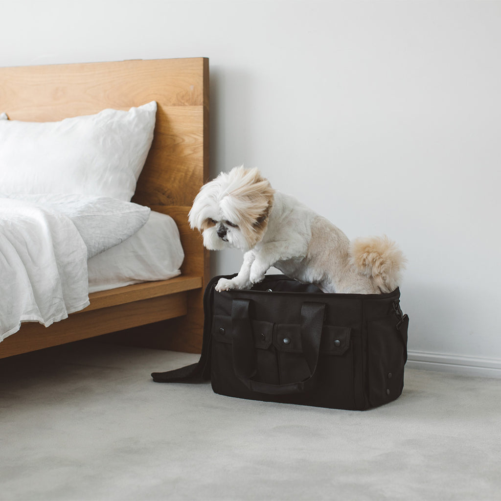 Balcordy Boston Carry Bag