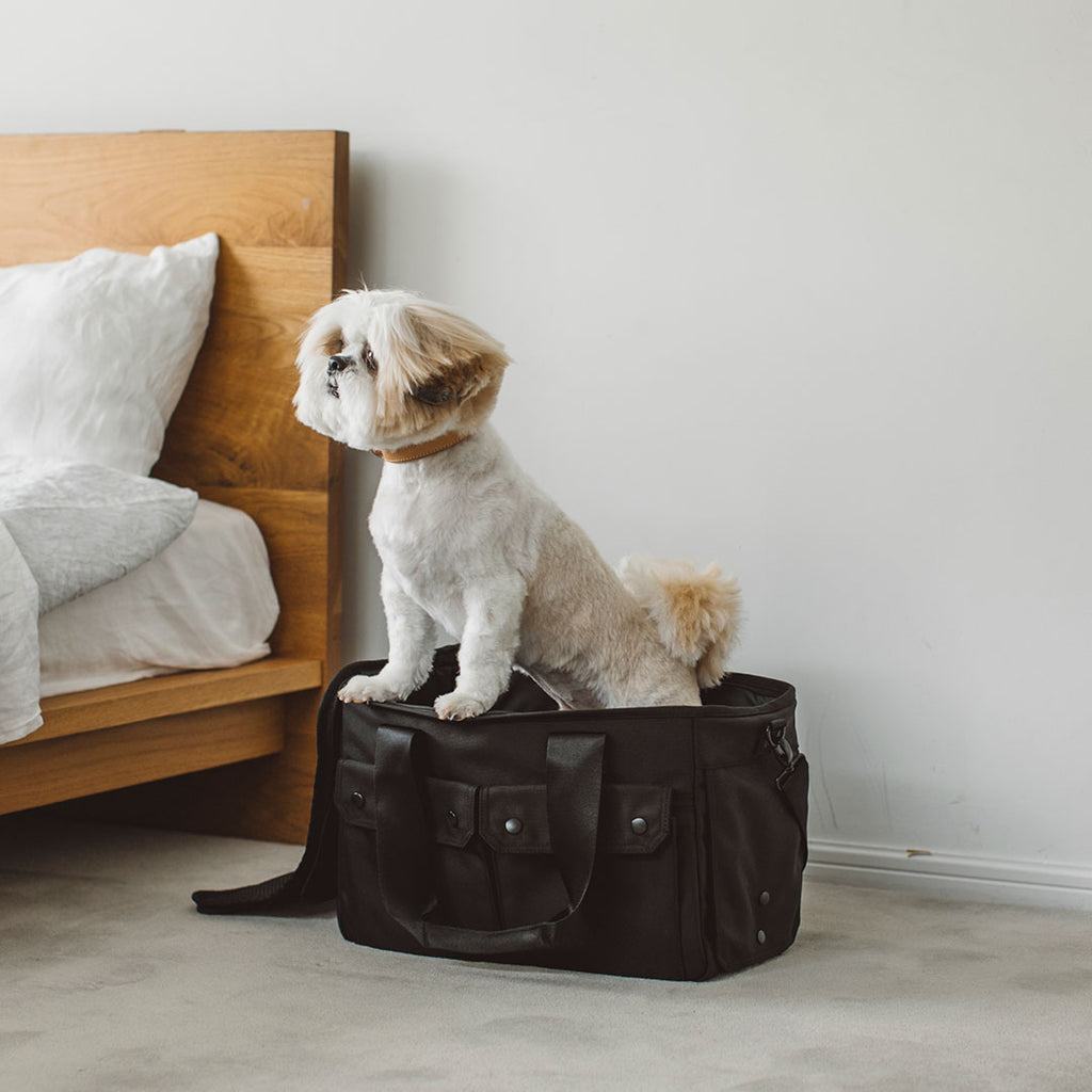 Balcordy Boston Carry Bag