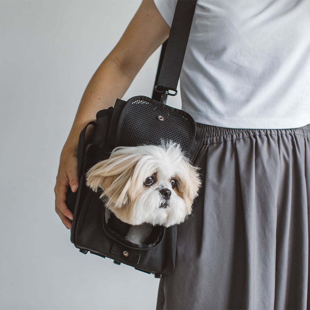 Balcordy Boston Carry Bag