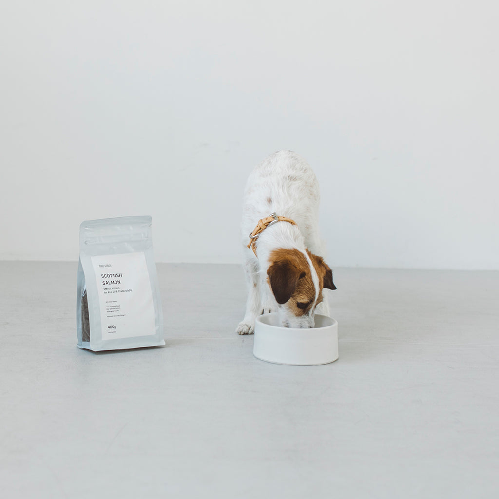 Porcelain Dog Bowl