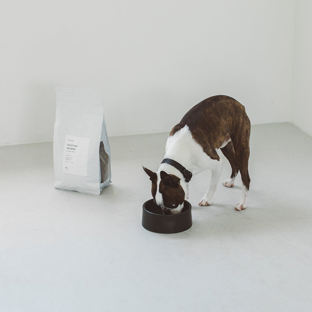 Porcelain Dog Bowl