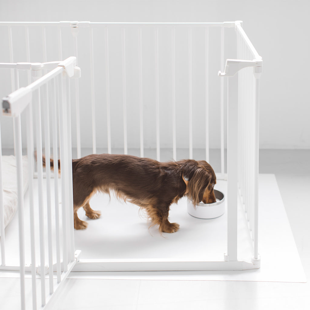 Dual-layered Stainless Steel Dog Bowl