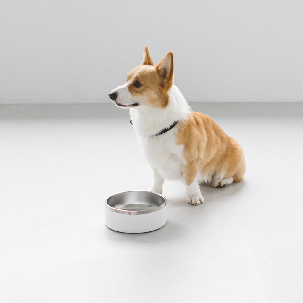 Dual-layered Stainless Steel Dog Bowl