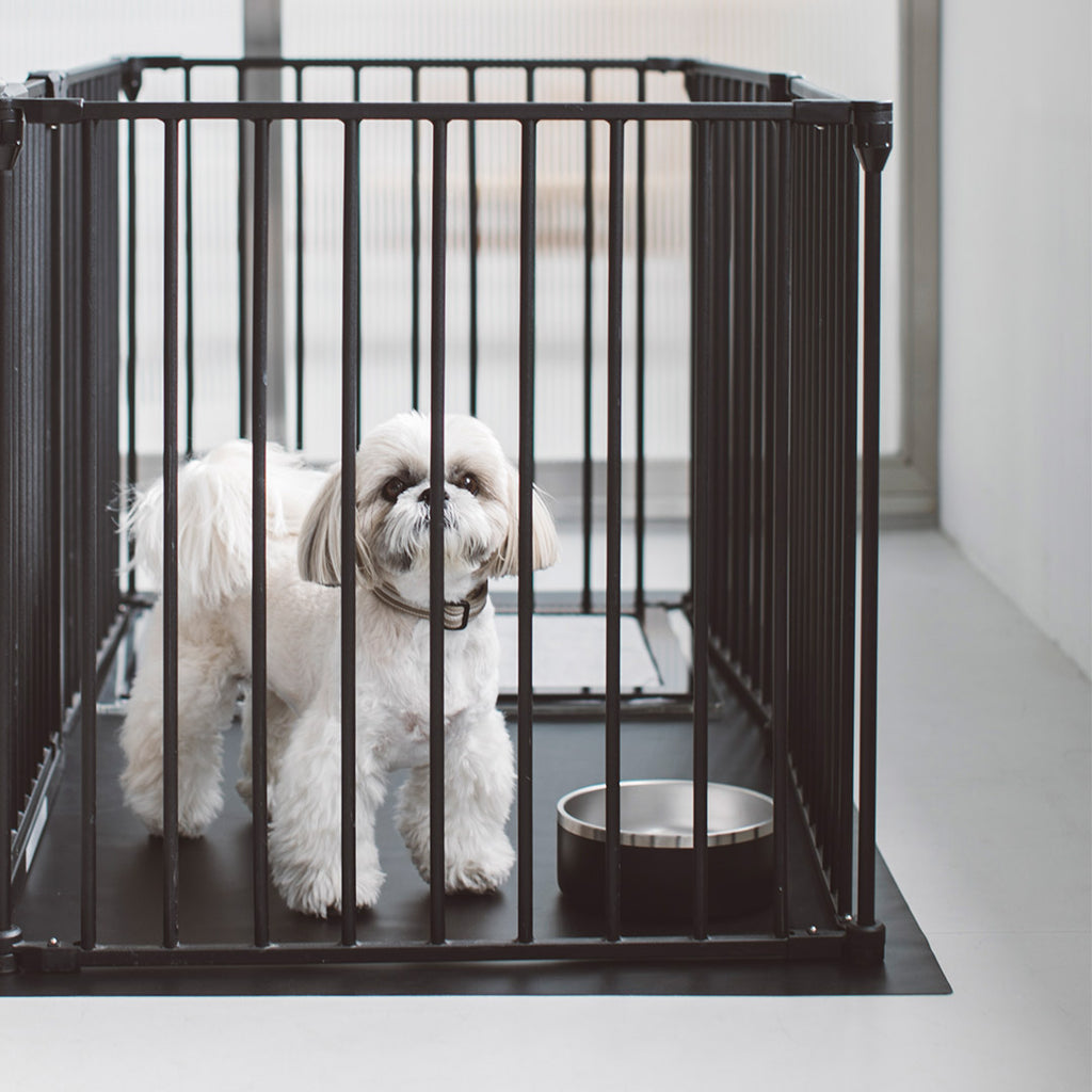 Dual-layered Stainless Steel Dog Bowl