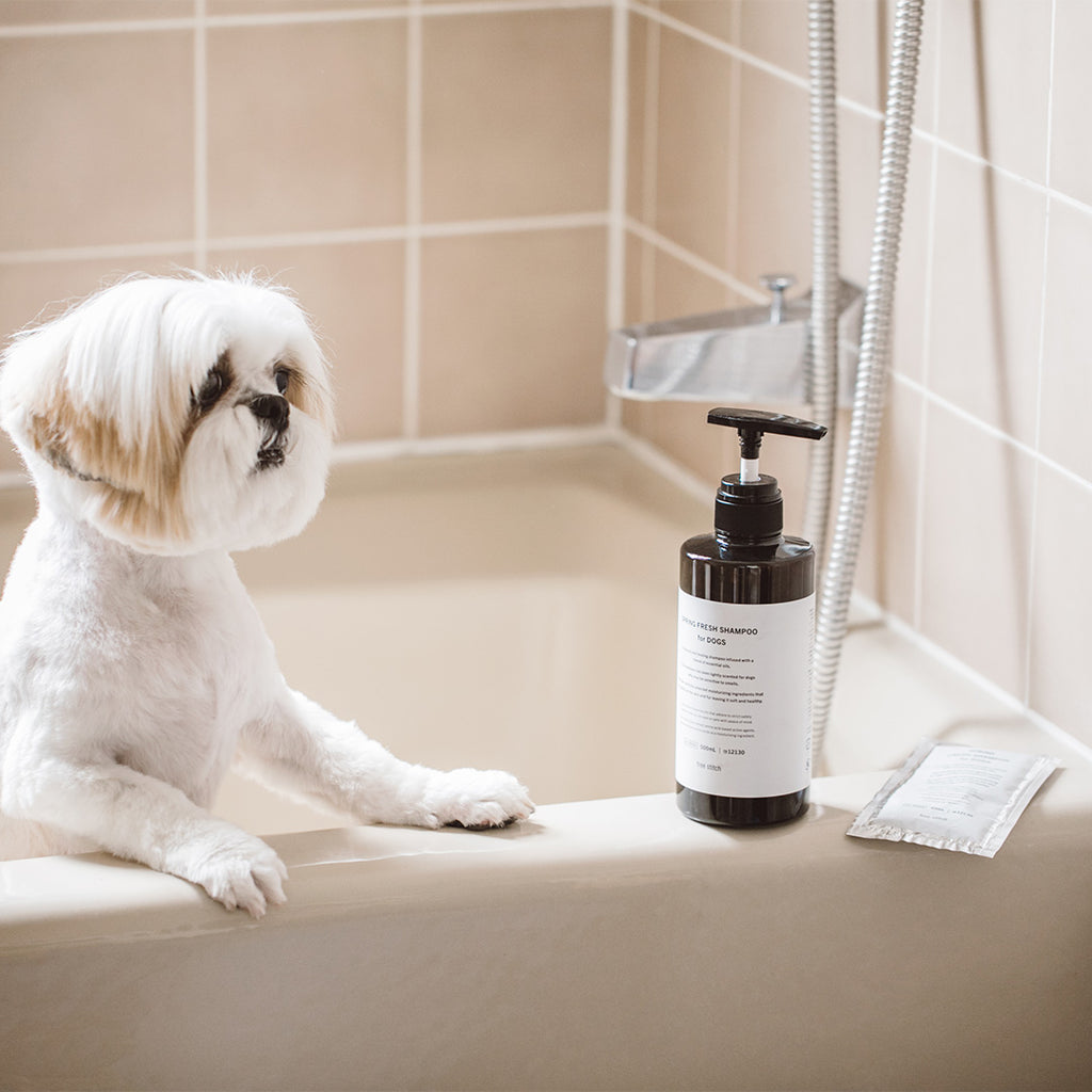 Spring Fresh Shampoo for Dogs