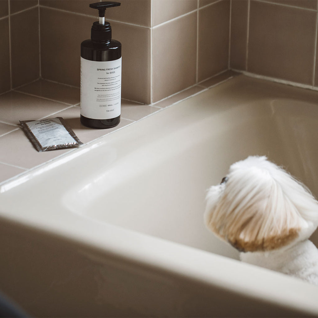Spring Fresh Shampoo for Dogs