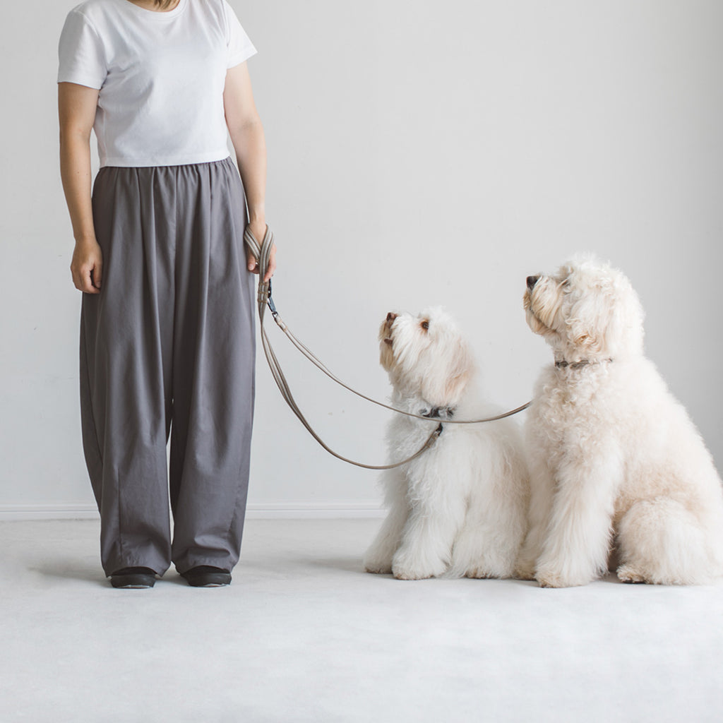 Anti-odor Comfort Separate Lead (Leash only)