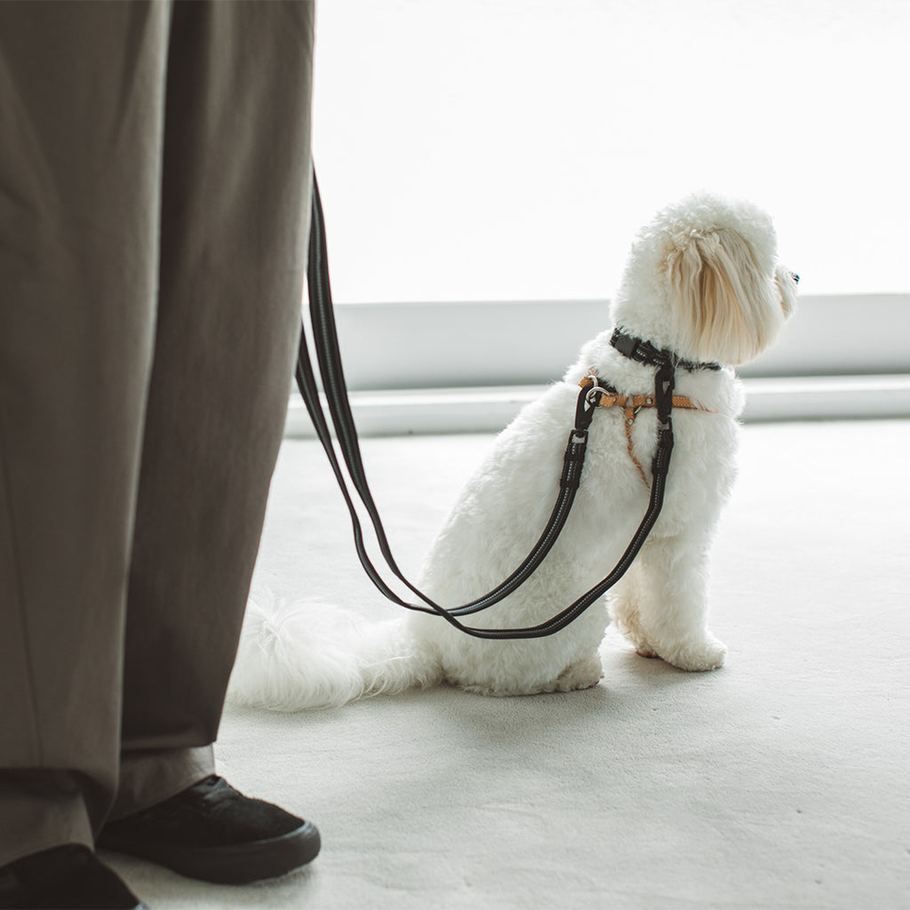 Anti-odor Comfort Separate Lead (Leash only)