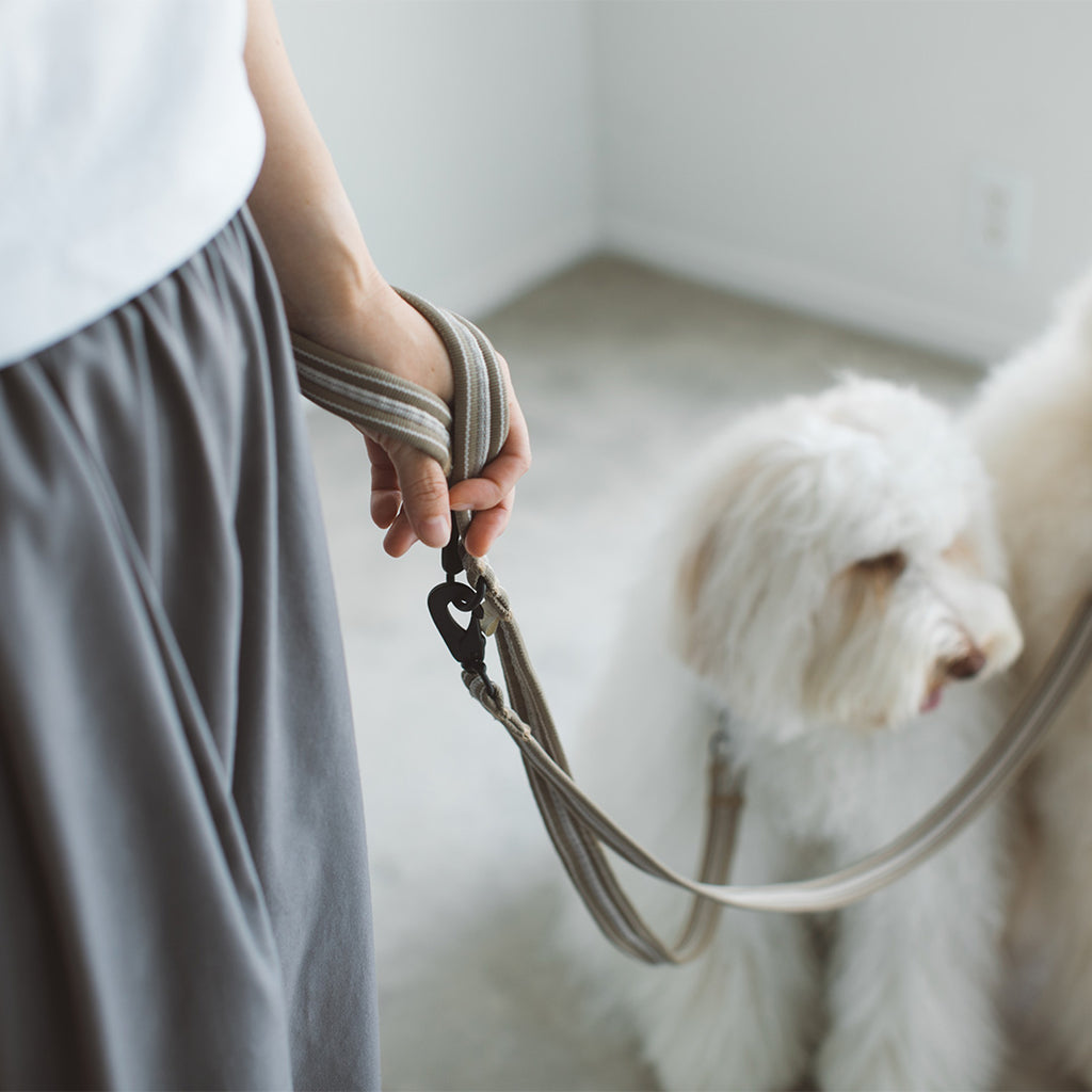 Anti-odor Comfort Separate Lead (Leash only)