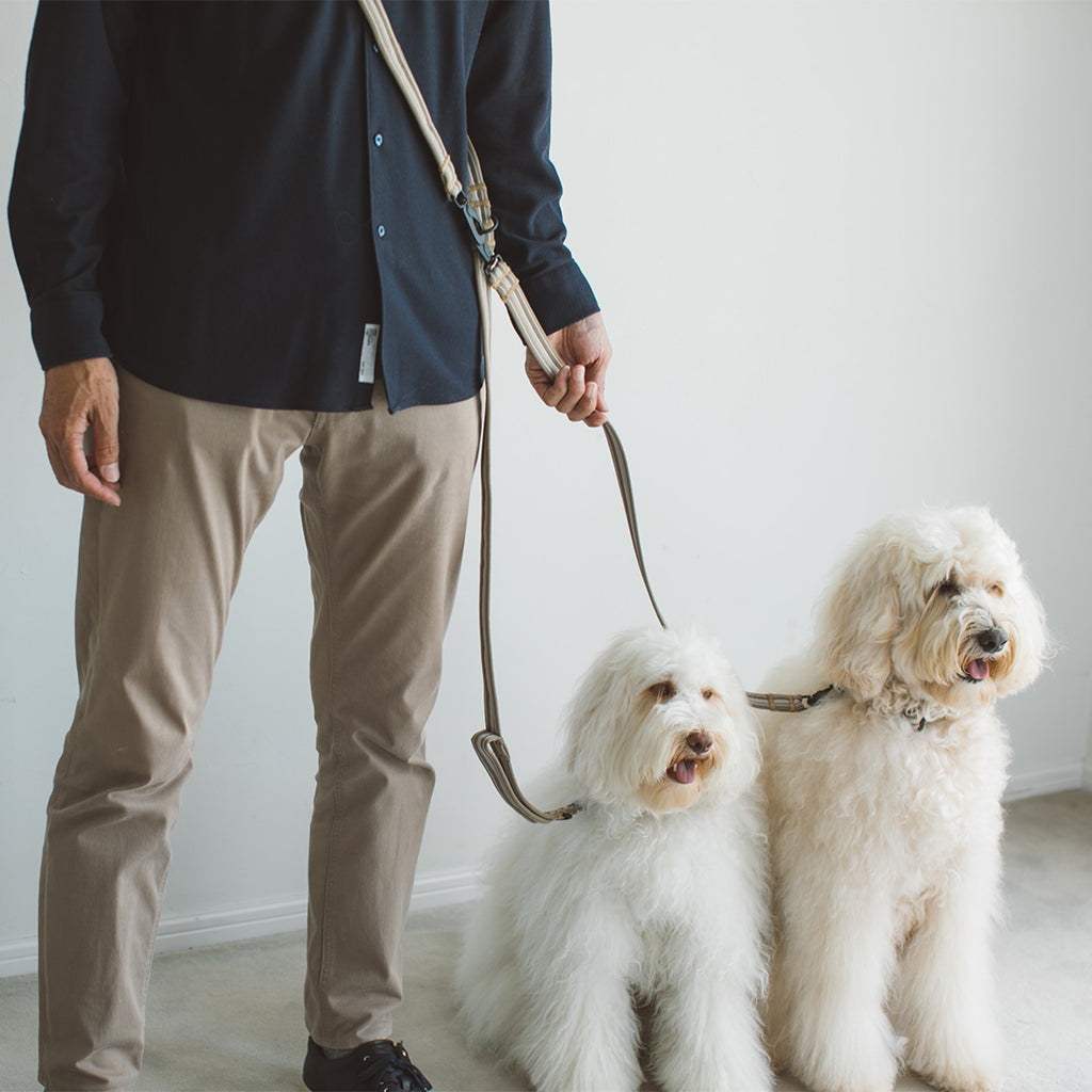 Anti-odor Comfort Separate Lead (Leash only)