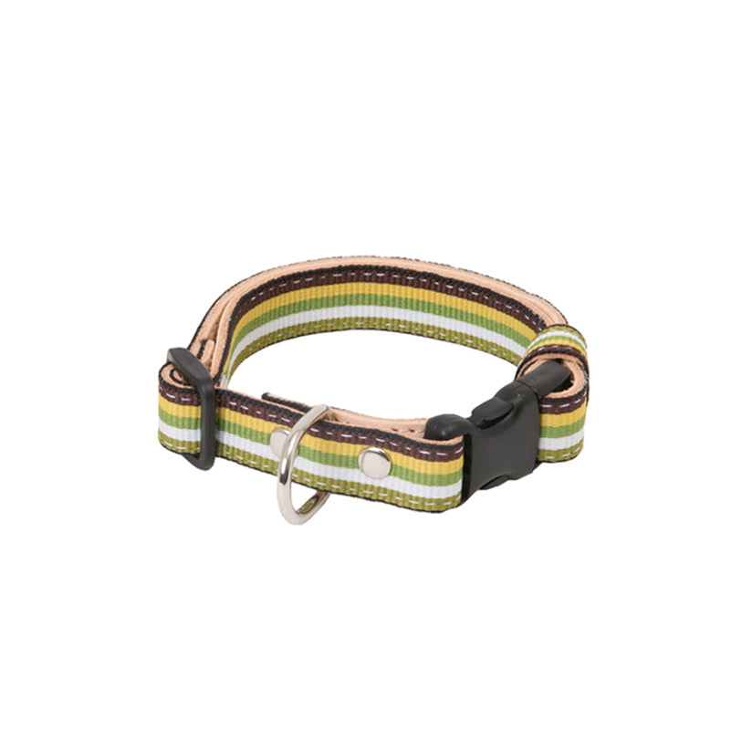 Sunny Stripe Collar