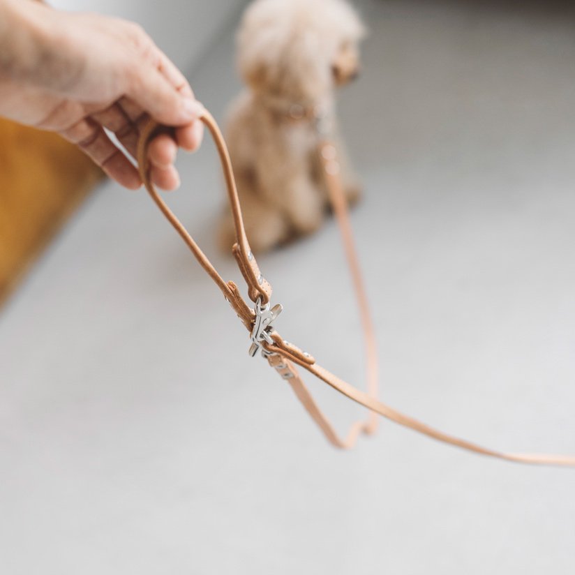 Tanned Leather Lead (Leash Only）