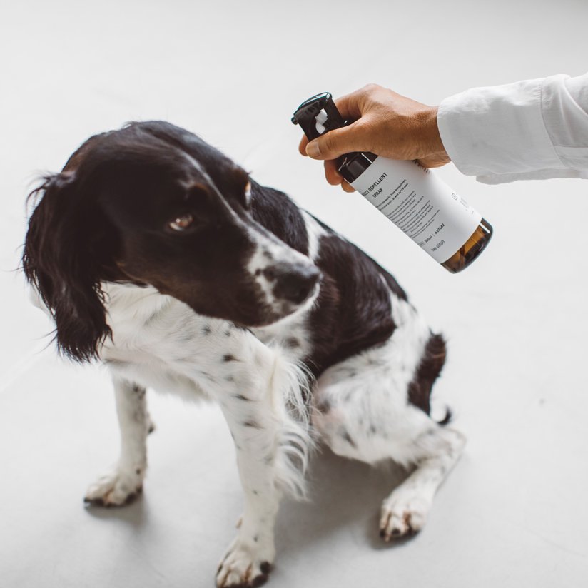 Insect Repellent Spray for Pets