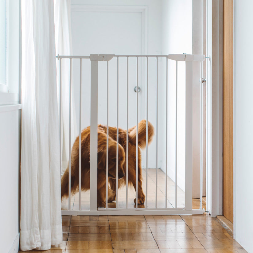 Ikea dog gate hotsell