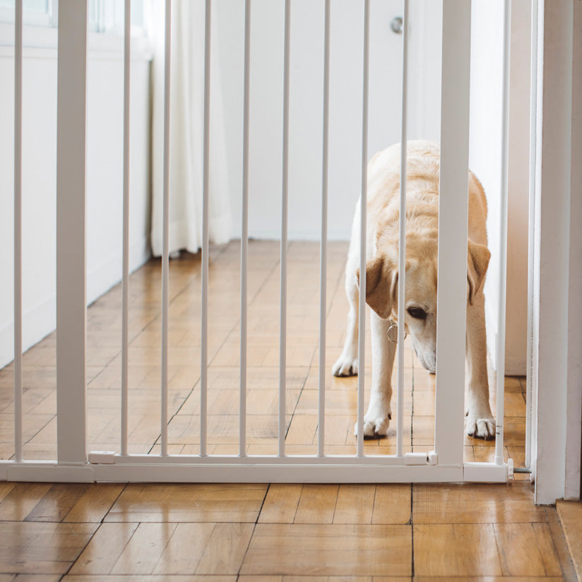 Stylish Safety Gate Tall