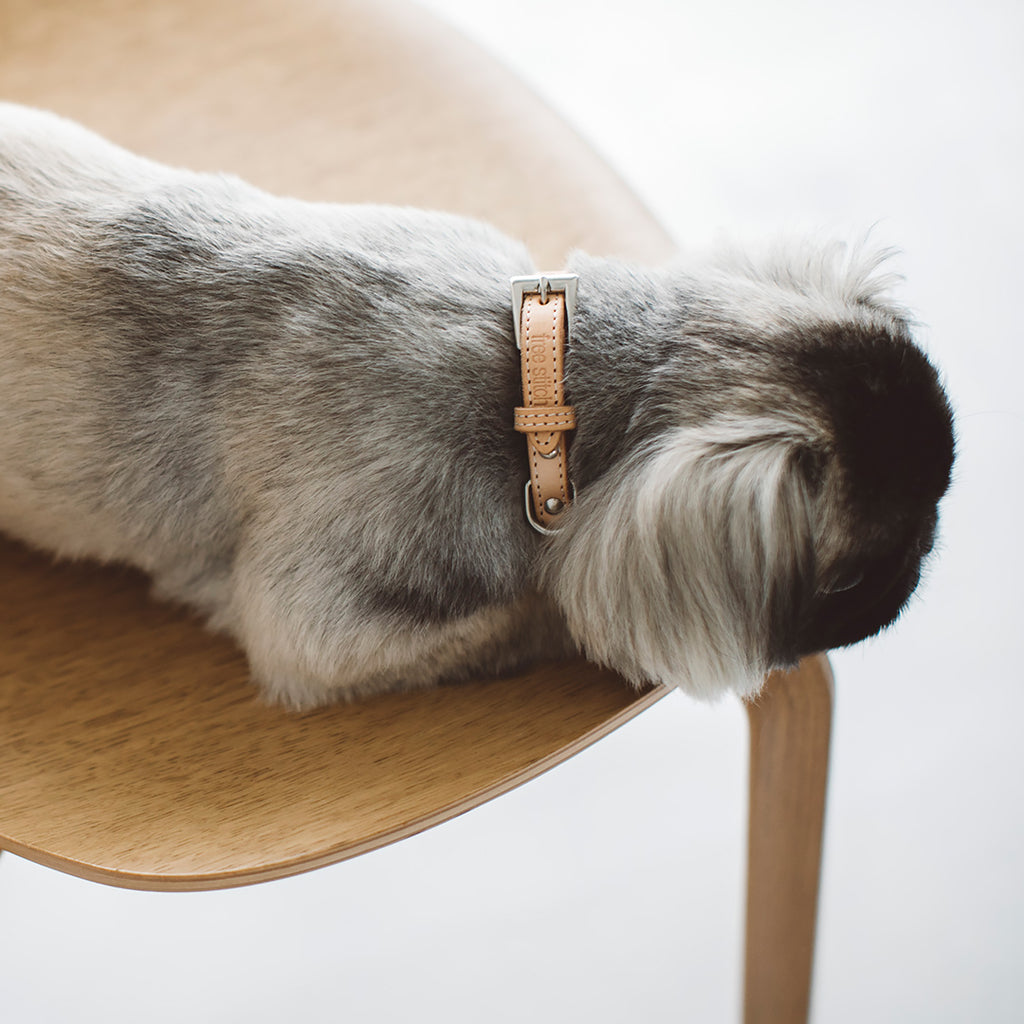 Tanned Leather Collar