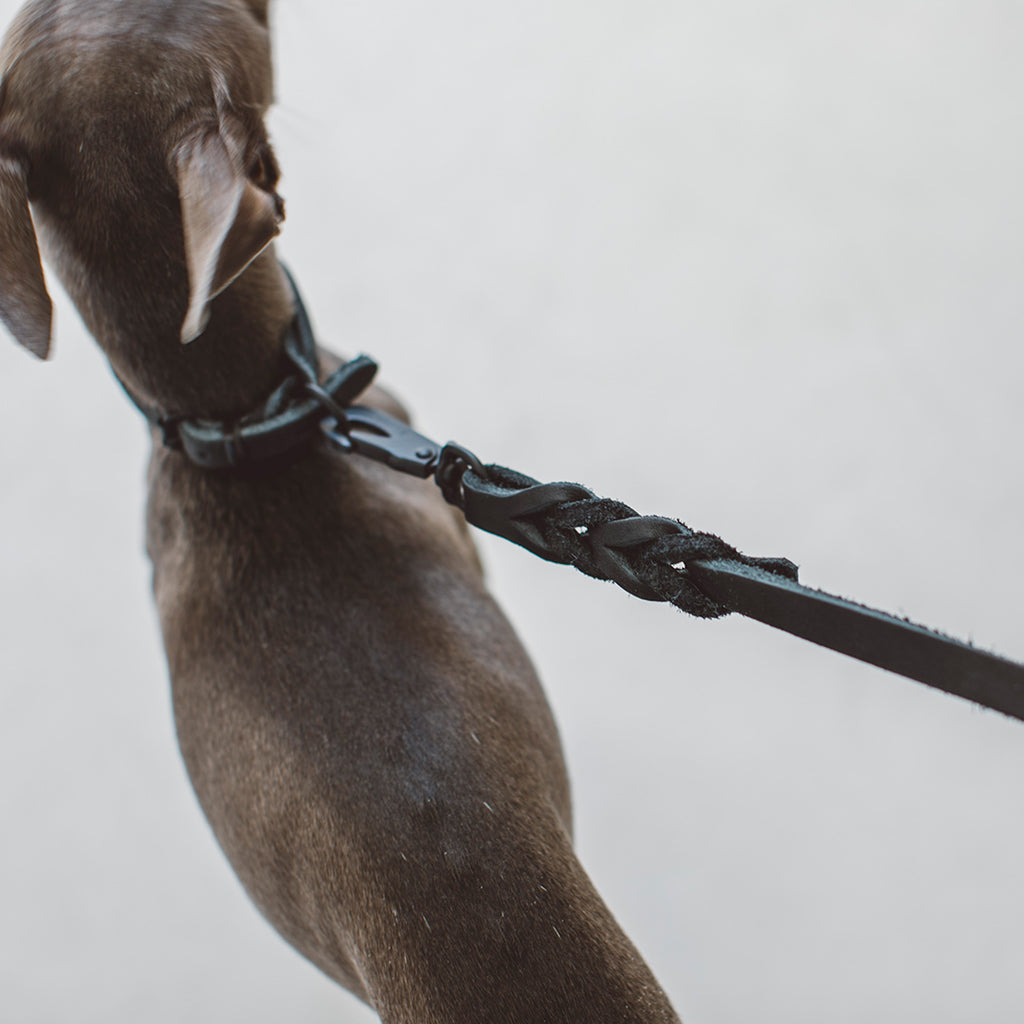 Oiled Leather Braided Collar